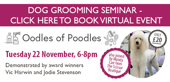 Dog Grooming Seminar - Oodles of Poodles - Online
