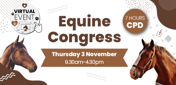 VN CPD - Equine Congress