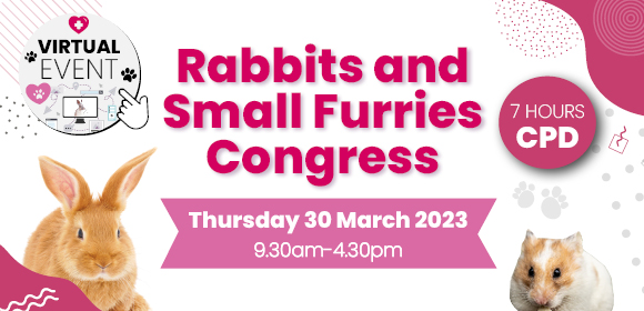VN CPD - Rabbits and Small Furries Congress